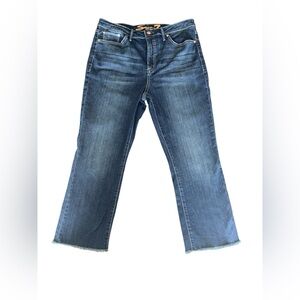 Seven7 Women's Flare Jeans in Classic Blue